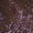 ZAZA BOTTOM - AMETHYST