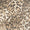 HORSESHOE CROPPED JEAN - LEOPARD